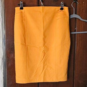 Express knee length NWT pencil skirt